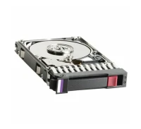 Жесткий диск HP Enterprise 456896-001
