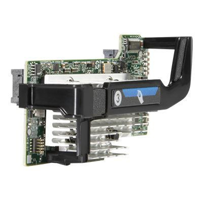 Адаптер HP Enterprise 700065-B21