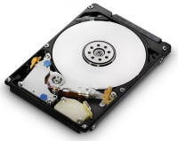 Жесткий диск SATA Western Digital 1W10001